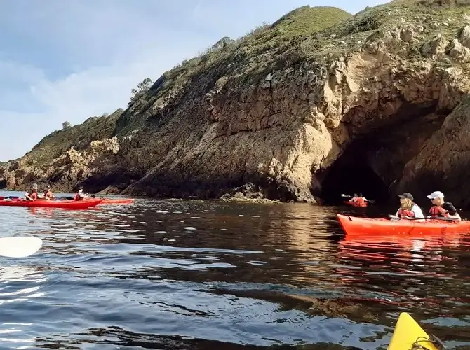 Kayak tour from Hammerhavn