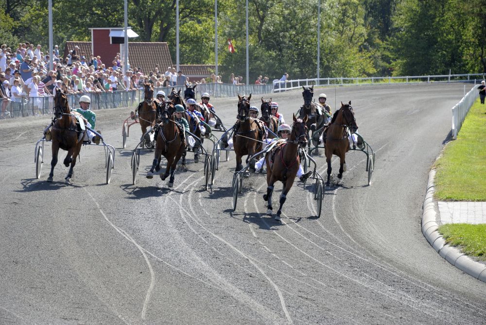 Horse racing Bornholm's Brand Park