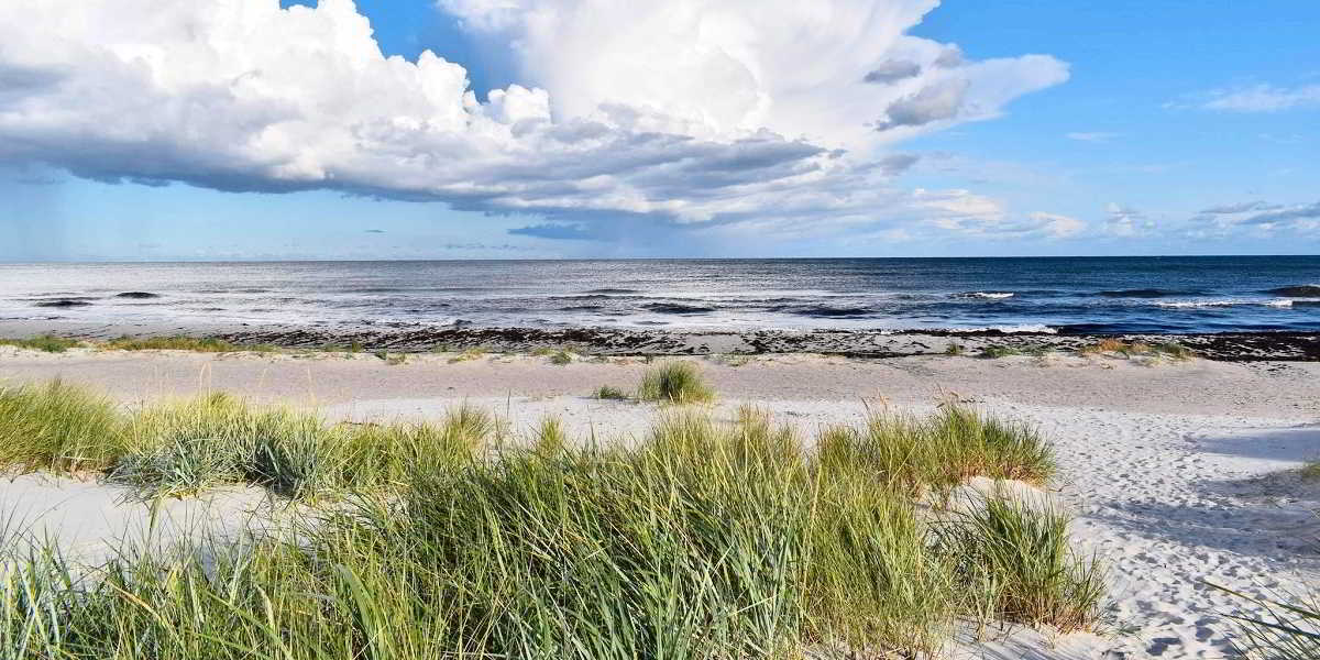Lonely Planet schreibt über den Strand von Dueodde