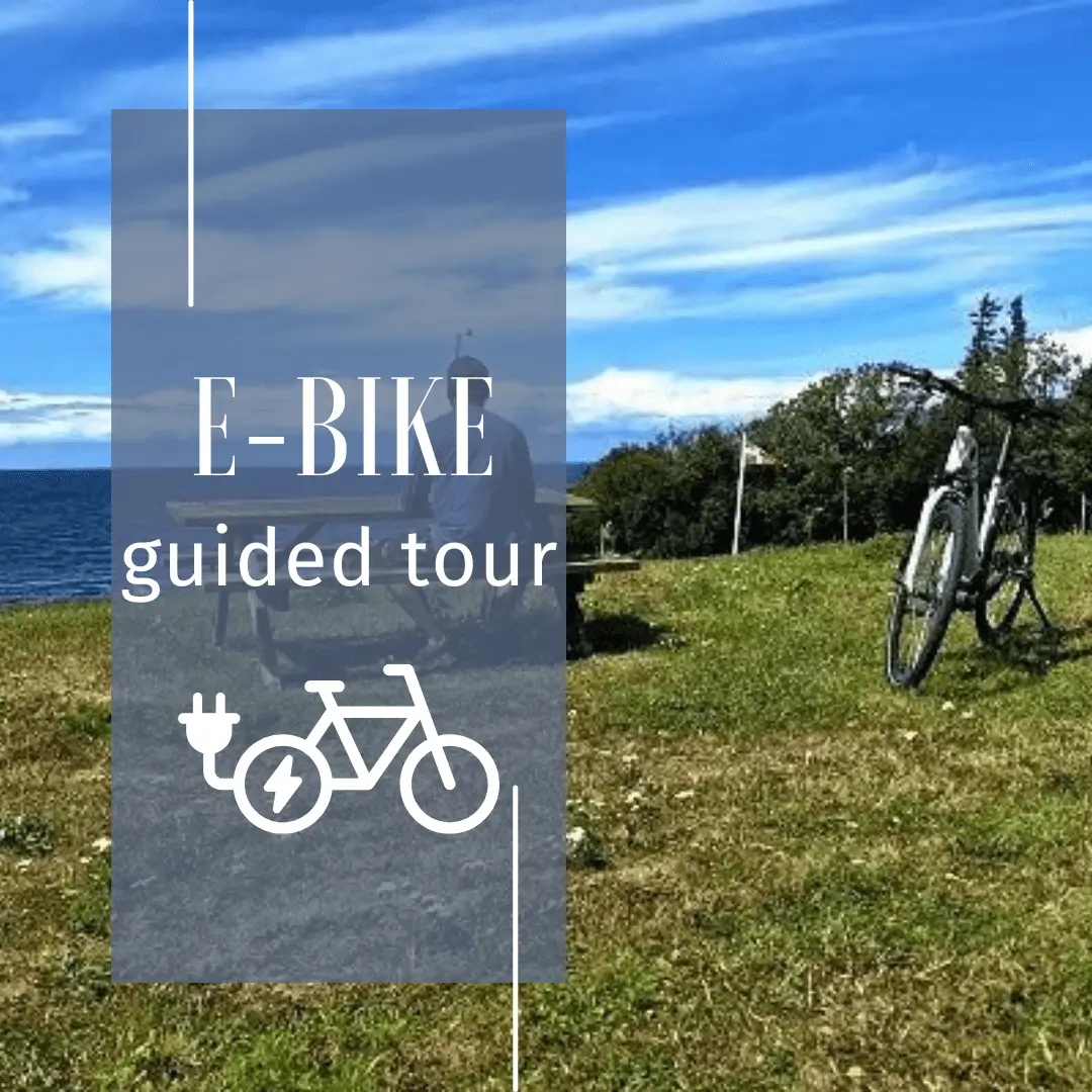 Geführte E-Bike-Tour auf Bornholm