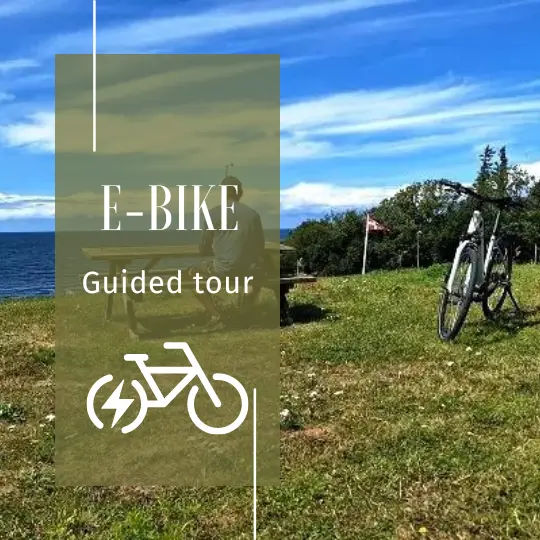 Ebike guided tour Bornholm