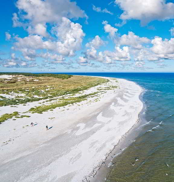 Jazda konna Bornholm – lasy i wydmy