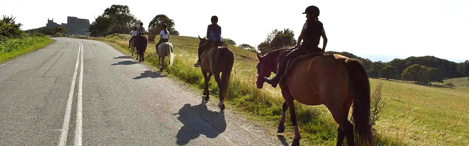 Jazda konna na Bornholmie – szlaki przez naturę