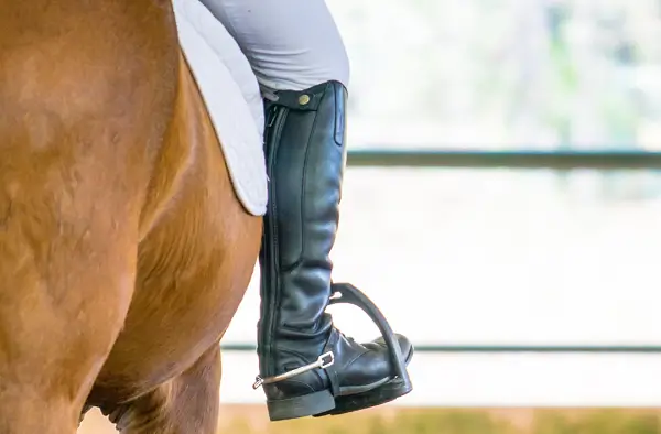 Przygotowanie do jazdy konnej – Bornholm