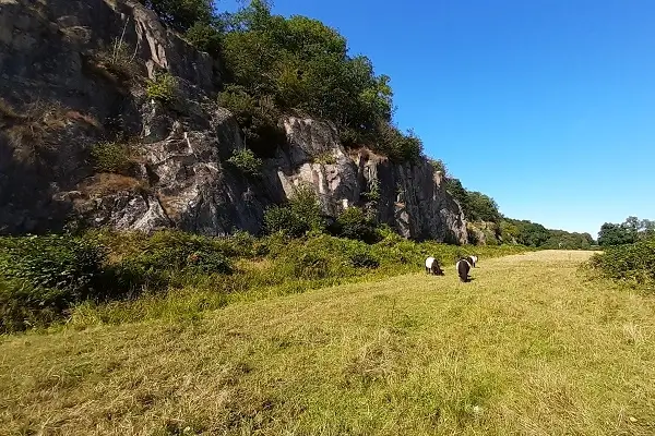 Ekkodalen (Echo Valley) in Almindingen, Bornholm