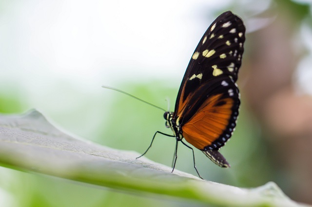 Sommerlunden – przestrzeń kreatywna i ogród
