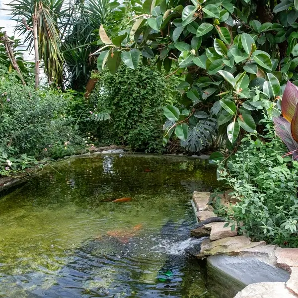 Sommerlunden ved Nexø, Bornholm