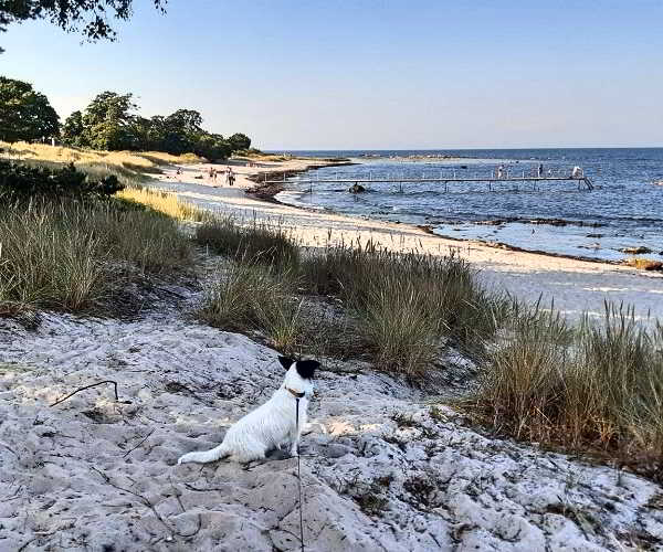 Plaża Melsted