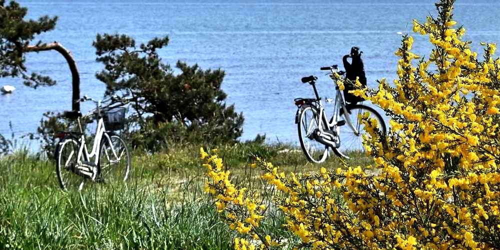 Discover the charms of Bornholm by bike - the best cycling routes on the island