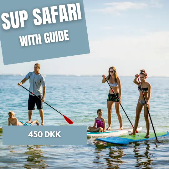 sup safari on Bornholm