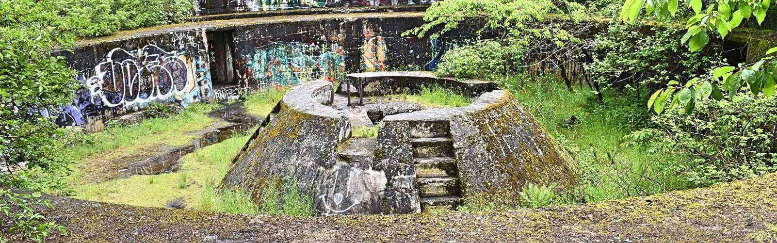 Dueodde – bunkere i skoven på Bornholm