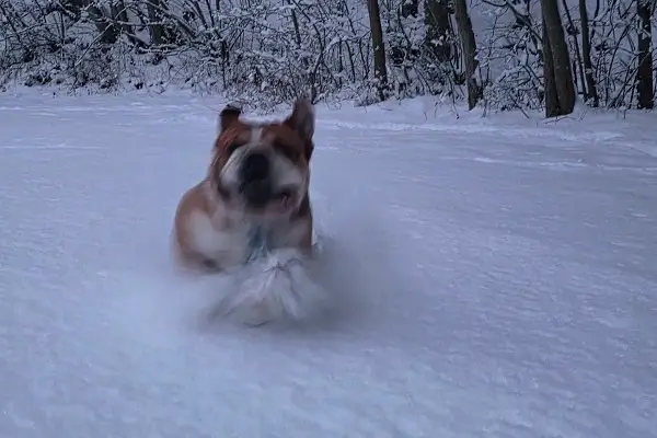 Aktywny wypoczynek na Bornholmie