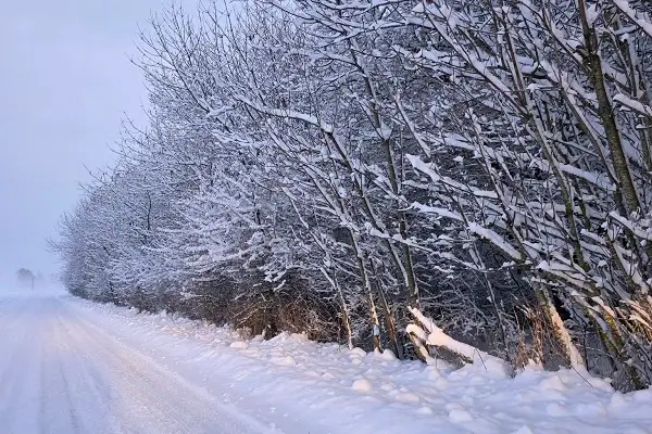 Rodzinne wakacje zimą na Bornholmie