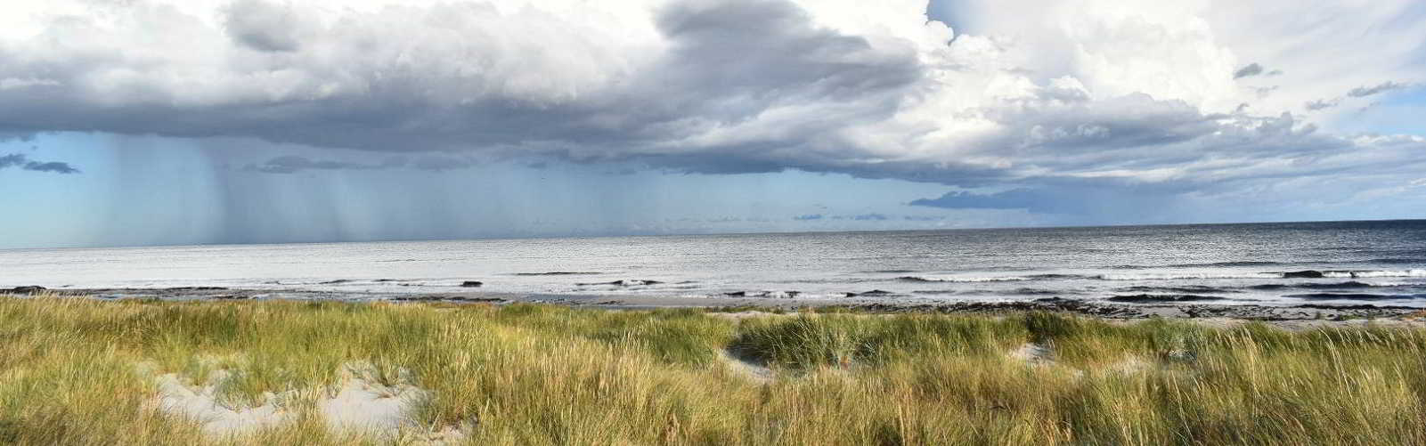 De fire årstider på Bornholm